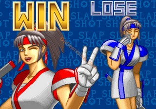 une photo d'Ã©cran de Slap Shot sur Arcade